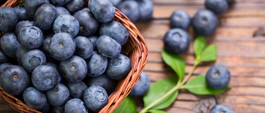 Selection of blueberries 